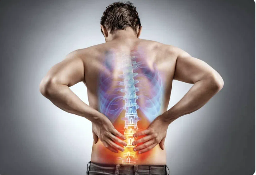 REDUCE LOW BACK PAIN